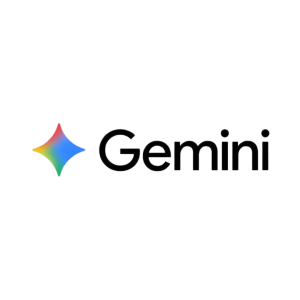 Google Gemini Pro   1 MOIS