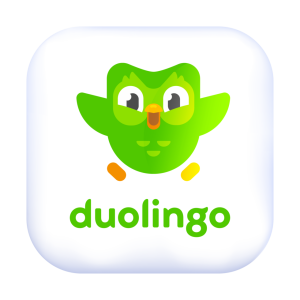 Duolingo  6 Mois